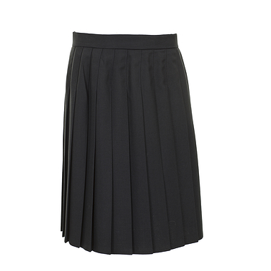 Navy Long Pleated Skirt